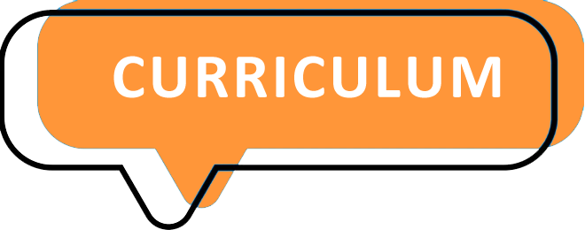 Curriculum