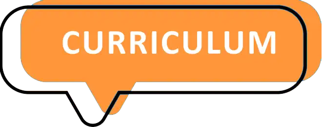 Curriculum
