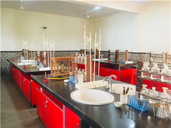 Laboratory Learning