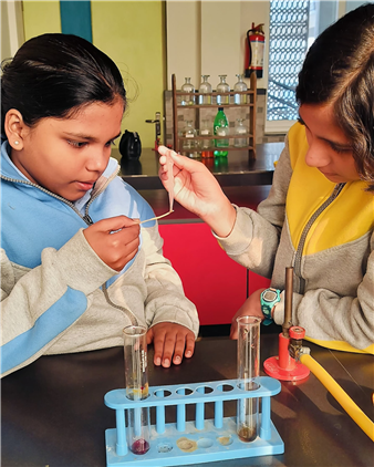 Uncovering the Wonders of Acids and Alkalis